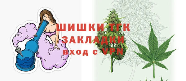 ПСИЛОЦИБИНОВЫЕ ГРИБЫ Заводоуковск