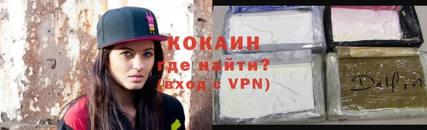 ПСИЛОЦИБИНОВЫЕ ГРИБЫ Заводоуковск