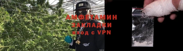 ПСИЛОЦИБИНОВЫЕ ГРИБЫ Заводоуковск
