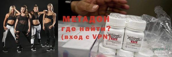 прущие грибы Елизово
