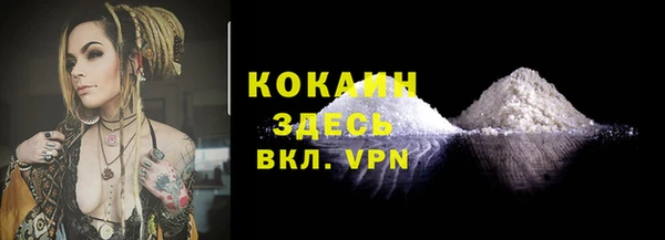 ПСИЛОЦИБИНОВЫЕ ГРИБЫ Заводоуковск