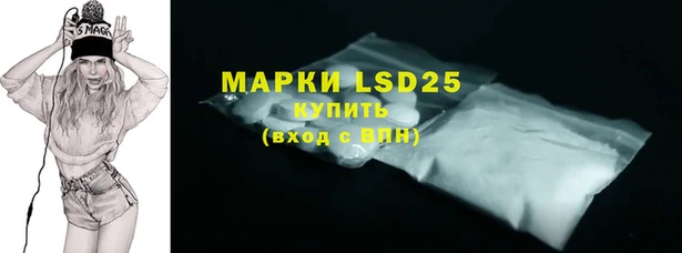 ПСИЛОЦИБИНОВЫЕ ГРИБЫ Заводоуковск