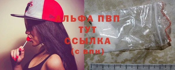 ПСИЛОЦИБИНОВЫЕ ГРИБЫ Заводоуковск